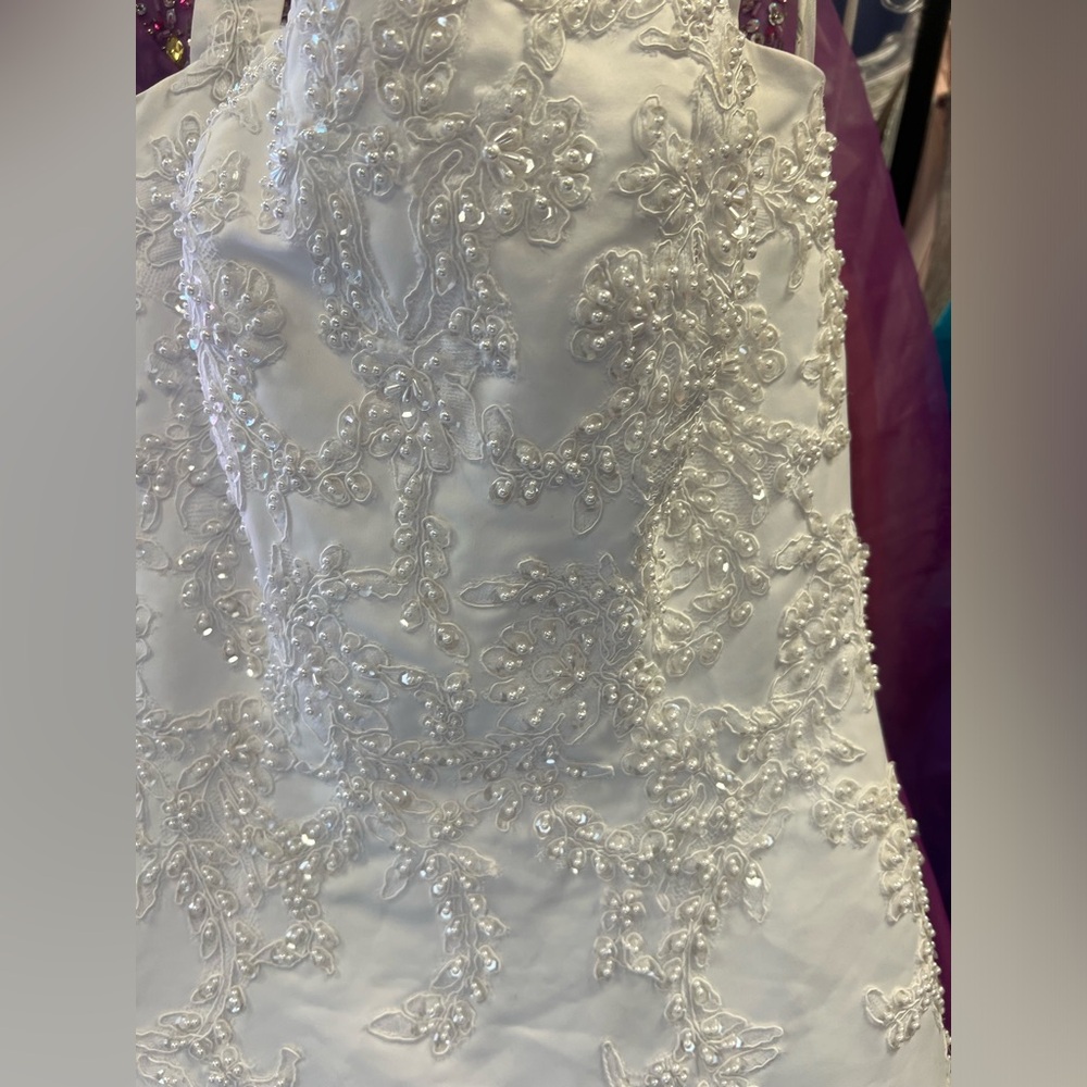 Wedding Gown - Picture 8 of 8